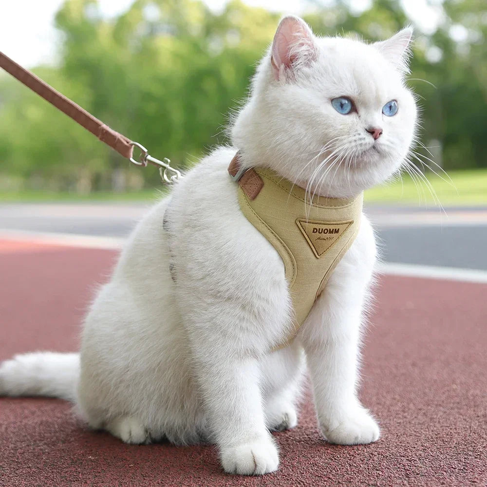 Cat Puppy Outdoor Walking Supplies Fashion Pet Harness and Leash Set for Small Dogs Cats Breathable Durable Kitten