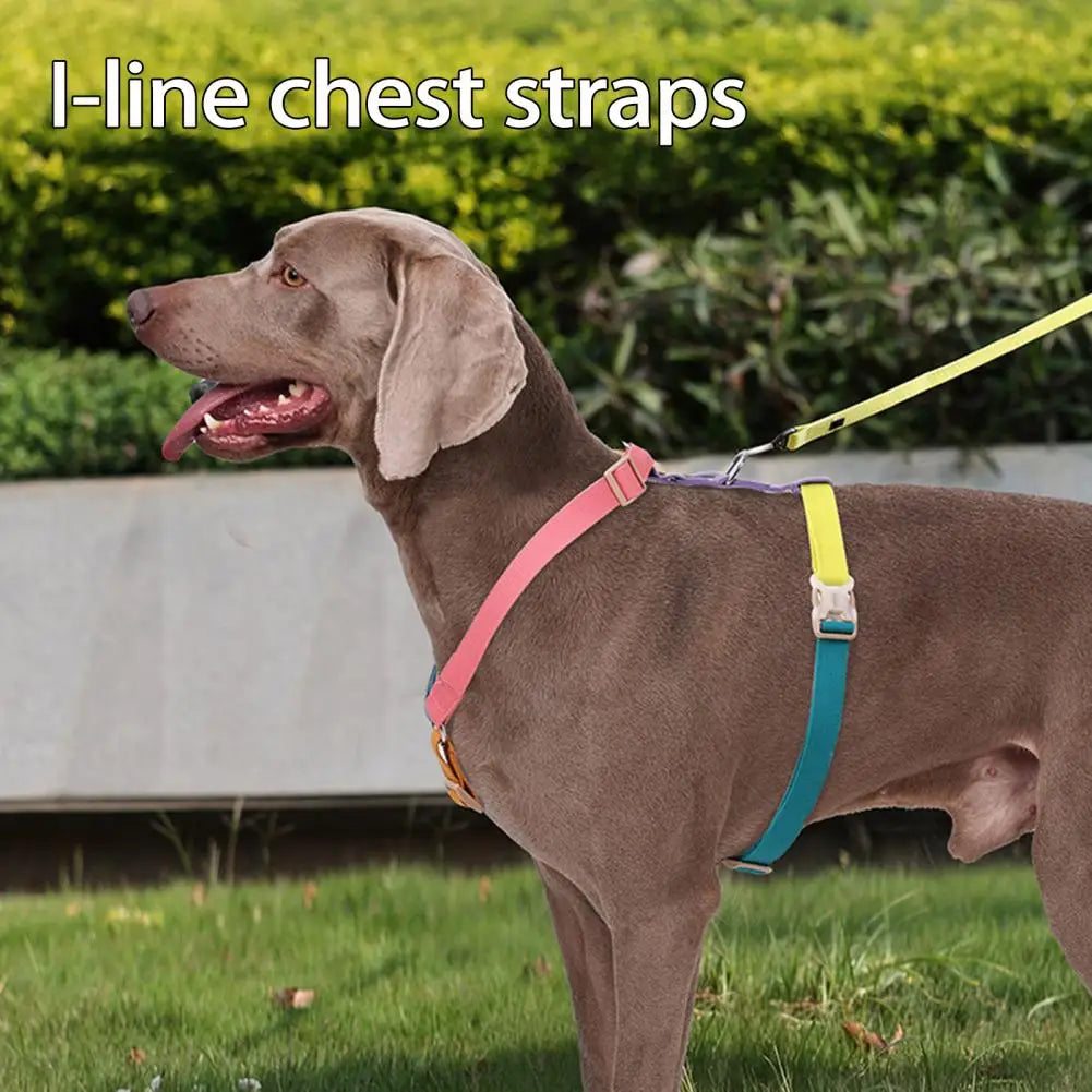 Quick Release Adjustable Dog Harness Vest, Dog Training Cotton Harnesses, Chest Strap, Pet Supplies