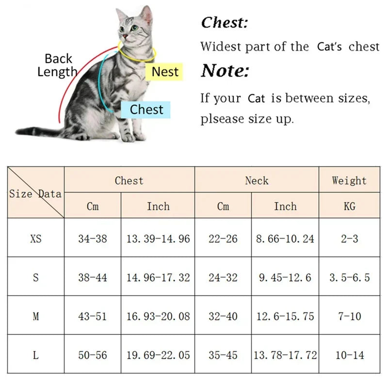 Cat Puppy Outdoor Walking Supplies Fashion Pet Harness and Leash Set for Small Dogs Cats Breathable Durable Kitten